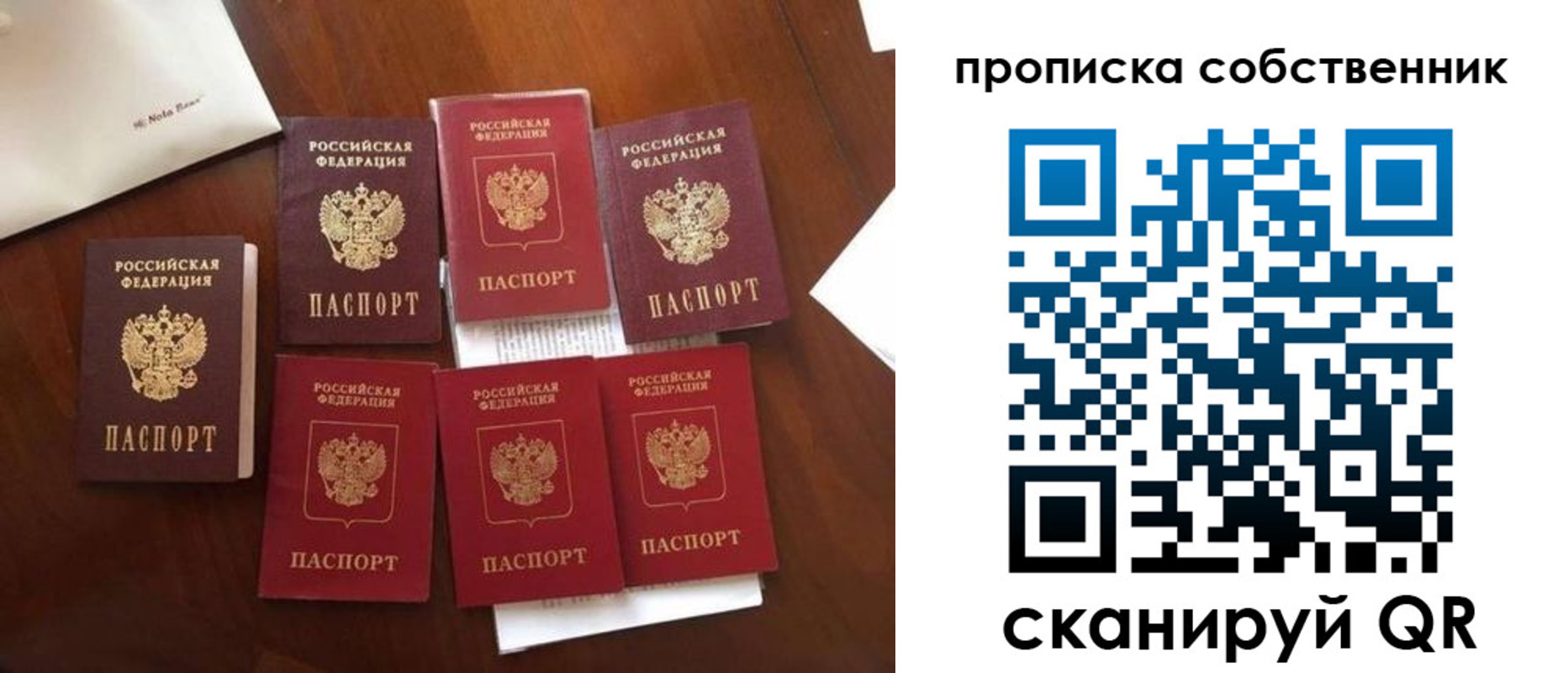 прописка для школы в Краснозаводске